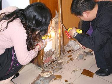 塘廈白蟻防治公司除掉白蟻一次需要多長(zhǎng)時(shí)間