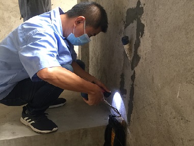 虎門白蟻防治機構為什么要對白蟻進行普查