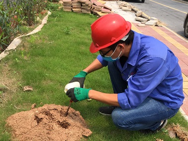 東莞紅火蟻防治機(jī)構(gòu)簡(jiǎn)單有效的紅火蟻防治方法